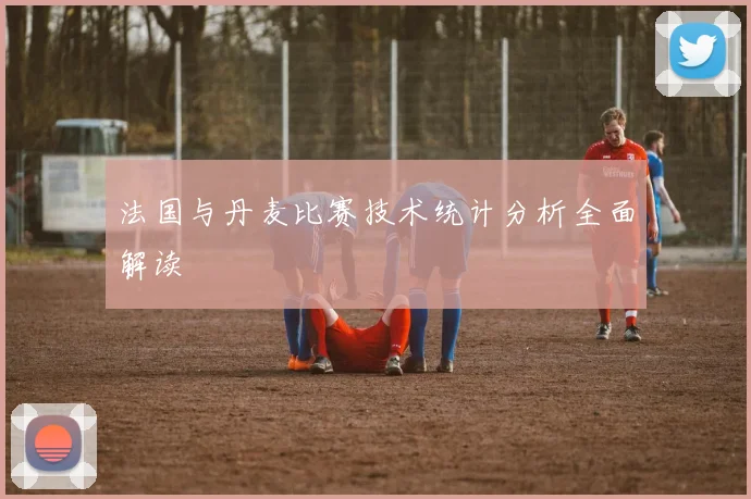 法国与丹麦比赛技术统计分析全面解读
