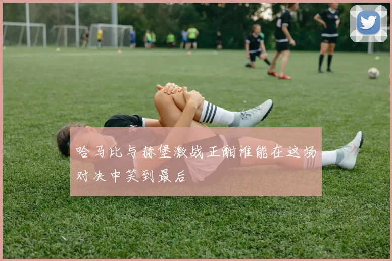 哈马比与赫堡激战正酣谁能在这场对决中笑到最后