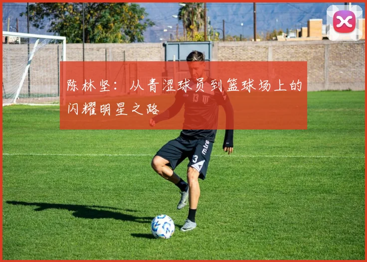 陈林坚：从青涩球员到篮球场上的闪耀明星之路