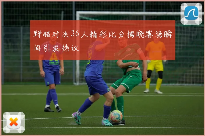 野猫对决36人精彩比分揭晓赛场瞬间引发热议