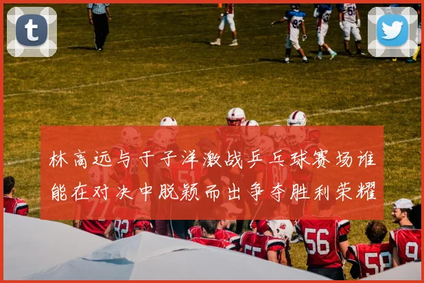 林高远与于子洋激战乒乓球赛场谁能在对决中脱颖而出争夺胜利荣耀