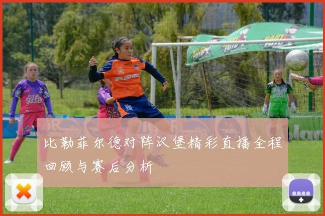 比勒菲尔德对阵汉堡精彩直播全程回顾与赛后分析